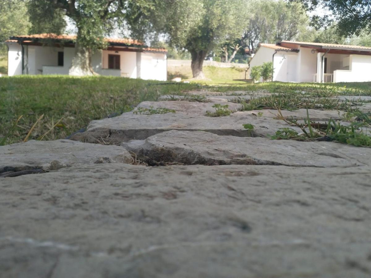 Residence Villamarina 卡梅罗塔的码头 外观 照片